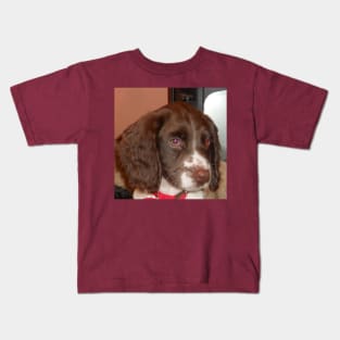 english springer spaniel liver white puppy Kids T-Shirt